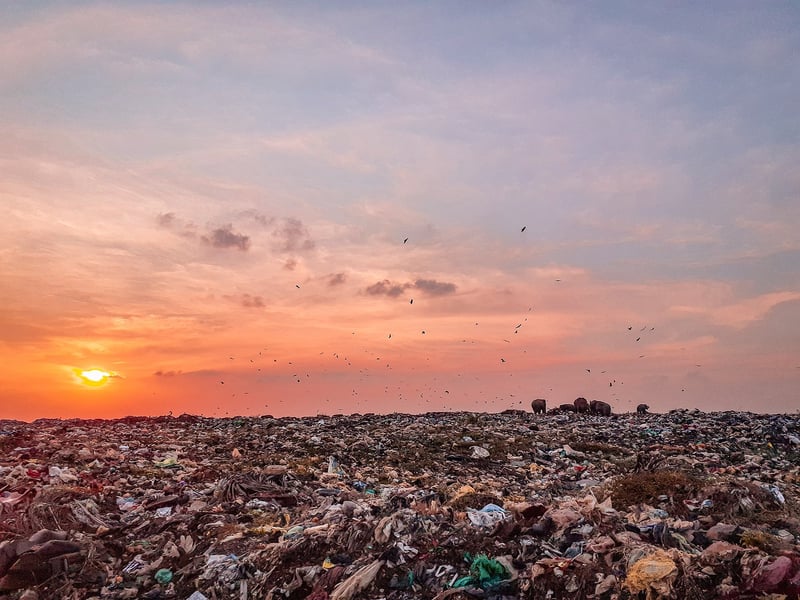 Zero Waste Lifestyle
